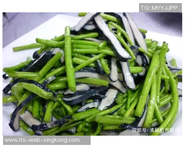 加盟国足臭豆腐开启美食新篇章助力足球文化传播与地方经济发展